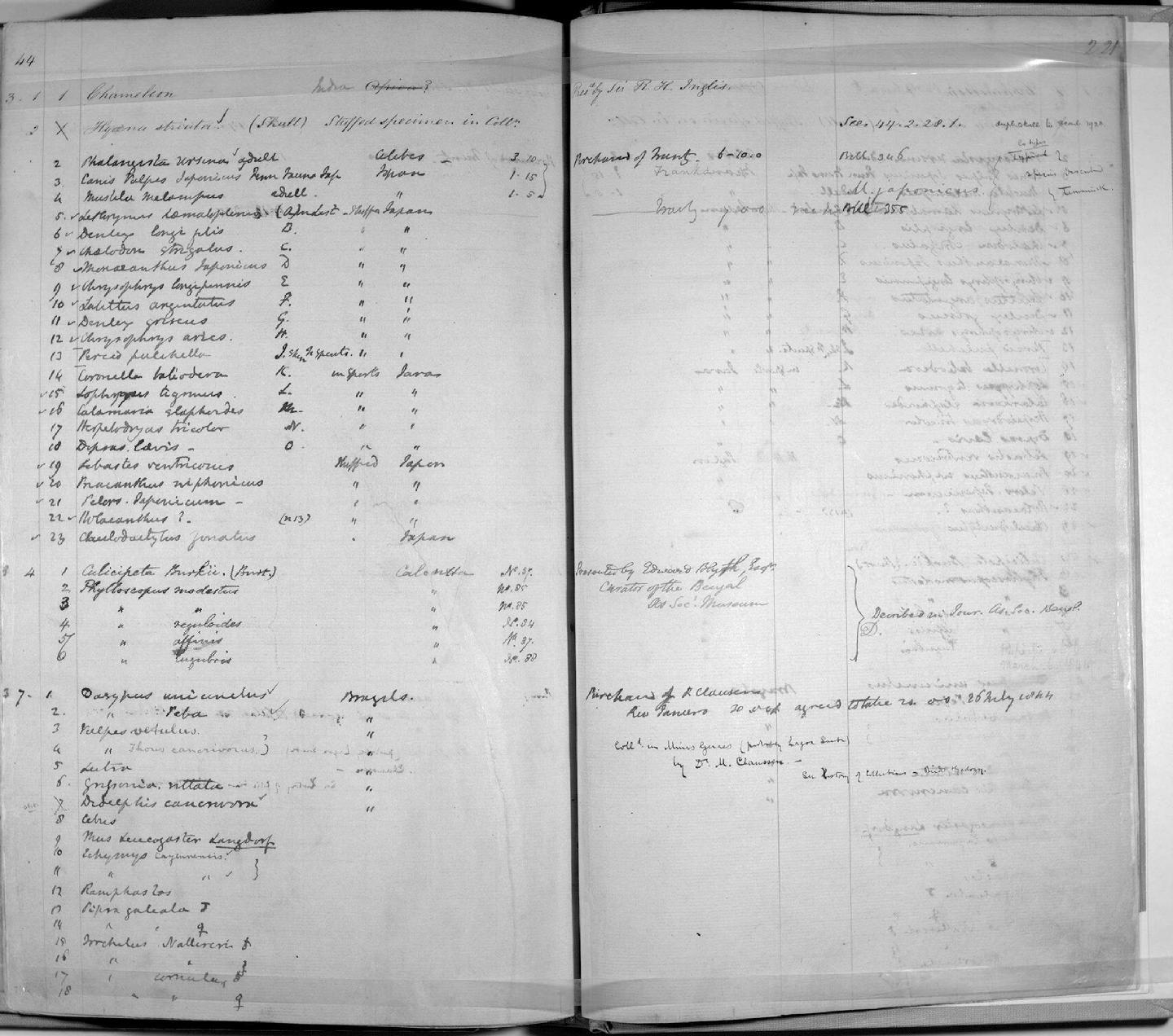 Zoology Accessions Register: Mammals: 1841 - 1844: page 221