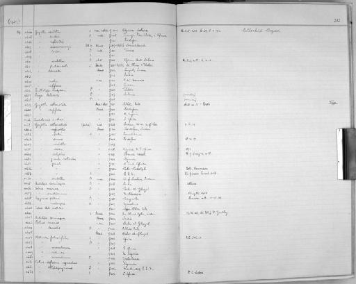 Gazella albonotata Rothschild, 1903. - Zoology Accessions Register: Mammals: 1937 - 1951: page 283