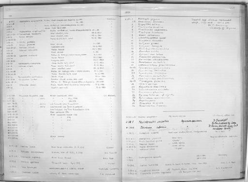 Prionotus alipionis Teague & Myers, 1945 - Zoology Accessions Register: Fishes: 1971 - 1985: page 229