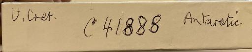 Eutrephoceras simile Spath, 1953 - NHMUK PI C 41888 label
