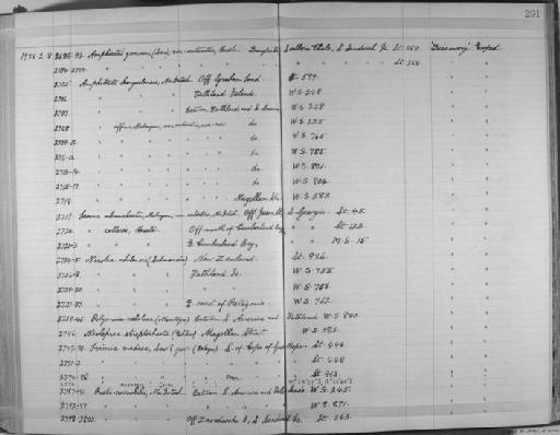 Amphitrite affinis antarctica - Zoology Accessions Register: Annelida & Echinoderms: 1924 - 1936: page 291