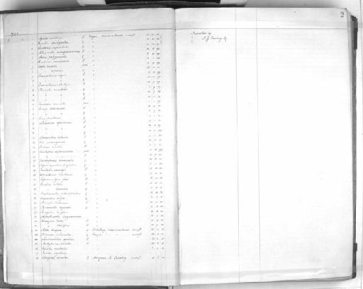 Nectarinia amethystina kirki - Zoology Accessions Register: Aves (Skins): 1902 - 1904: page 2