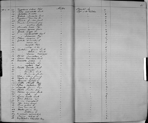 Chiton fascicularis - Zoology Accessions Register: Mollusca: 1877 - 1883: page 31