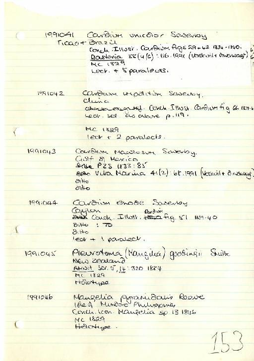 Pleurotoma (Mangilia) goodingii E. A. Smith, 1884 - Zoology Accessions Register: Mollusca: 1986 - 1993: page 153