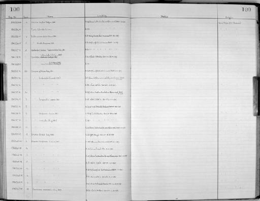 Diacria trispinosa subterclass Tectipleura (Blainville, 1821) - Zoology Accessions Register: Mollusca: 1956 - 1978: page 100