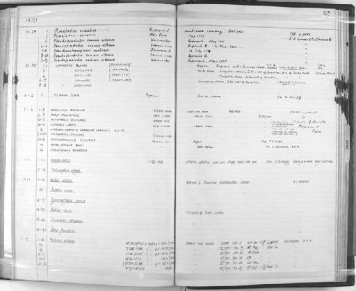 Carassius carassius x Cyprinus carpio - Zoology Accessions Register: Fishes: 1961 - 1971: page 217