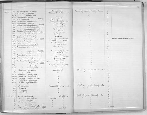 Turbonilla stegastris subterclass Tectipleura Melvill & Standen, 1901 - Zoology Accessions Register: Mollusca: 1900 - 1905: page 78