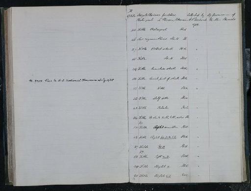 Hippopotamodon major (Gervais, 1848) - NHM-UK_P_DF118_03_31_0473