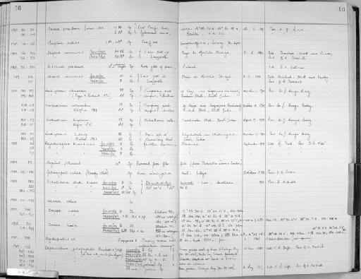 Prohatschekia stocki Kabata, 1990 - Zoology Accessions Register: Crustacea (Entomostraca): 1982 - 1993: page 50