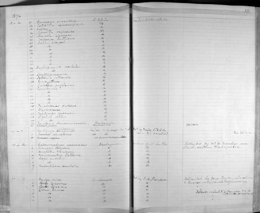 Melaenornis silens (Shaw, 1809) - Zoology Accessions Register: Aves (Skins): 1854 -1873: page 310