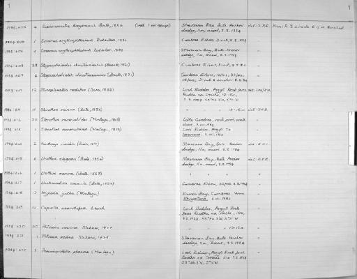 Caprella acanthifera parvorder Caprellidira Leach, 1814 - Zoology Accessions Register: Crustacea: 1984 - 1991: page 1