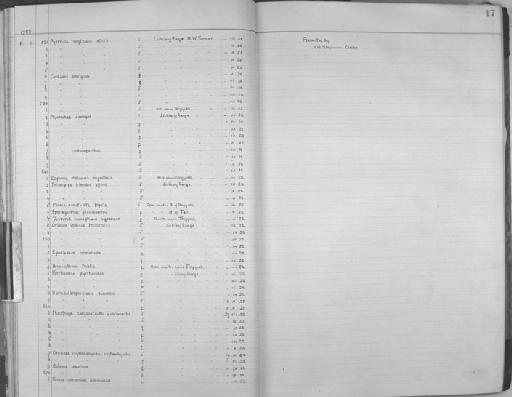 Pyrrhocorax pyrrhocorax himalayanus (Gould, 1862) - Zoology Accessions Register: Aves (Skins): 1923 - 1926: page 17