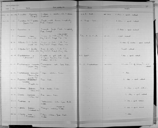 Pseudoceros mopsus Marcus, 1952 - Zoology Accessions Register: Platyhelminth: 1971 - 1981: page 27