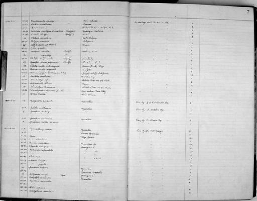 Plotia scabra subterclass Tectipleura (O. F. Müller, 1774) - Zoology Accessions Register: Mollusca: 1938 - 1955: page 7