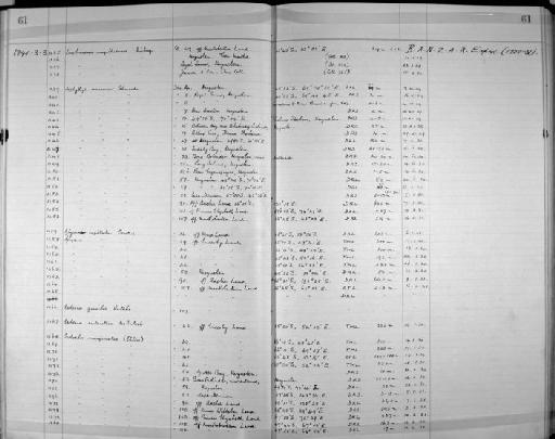 Lumbrineris magalhaensis Kinberg, 1865 - Zoology Accessions Register: Annelida: 1936 - 1970: page 61