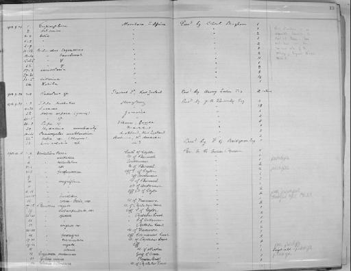 Pleurotoma (Surcula) breviplicata Smith, 1899 - Zoology Accessions Register: Mollusca: 1906 - 1911: page 13