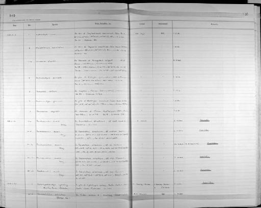 Gonocerca phycidis Manter, 1925 - Zoology Accessions Register: Platyhelminth: 1987 - 1993: page 140