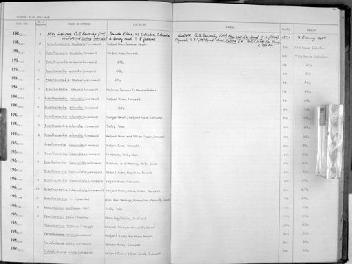 Eulima imbricata G. B. Sowerby I, 1834 - Zoology Accessions Register: Mollusca: 1962 - 1969: page 138