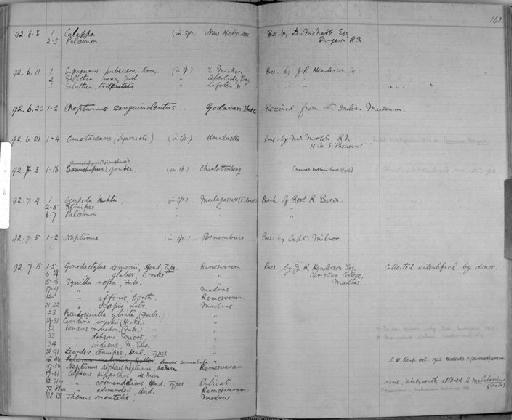 Ocypode kuhlii subsection Thoracotremata section Eubrachyura De Haan, 1835 [in De Haan, 1833-1850] - Zoology Accessions Register: Crustacea: 1876 - 1905: page 142