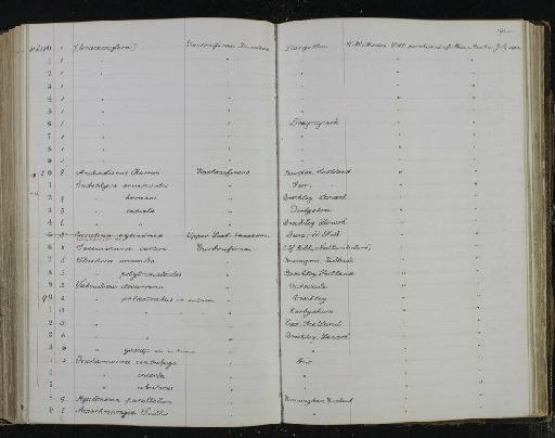 Trochammina centrifuga Brady, 1876 - NHM-UK_P_DF118_04_01_0381