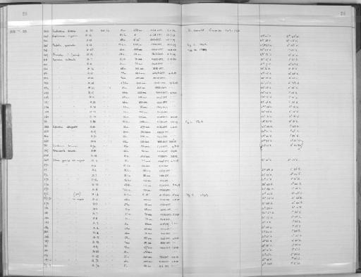 Amplinema rugosum - Zoology Accessions Register: Coelenterata: 1964 - 1977: page 28