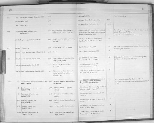 Caulleriella bioculata Keferstein, 1862 - Zoology Accessions Register: Polychaeta: 1967 - 1989: page 174