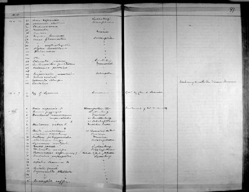 Cossypha caffra (Linnaeus, 1771) - Zoology Accessions Register: Aves (Skins): 1874 -1880: page 97