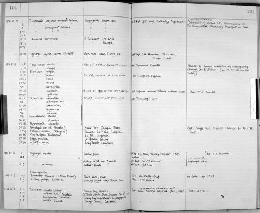 Thysanoessa raschii (M. Sars, 1864) - Zoology Accessions Register: Crustacea: 1935 - 1962: page 191