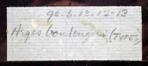 Arges boulengeri Regan, 1904 - 1890.6.13.12-3; Arges boulengeri; image of jar label; ACSI project image