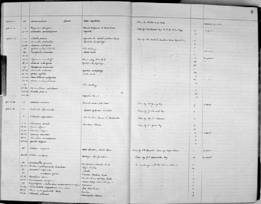 Planorbis albicans subterclass Tectipleura L. Pfeiffer, 1839 - Zoology Accessions Register: Mollusca: 1938 - 1955: page 6