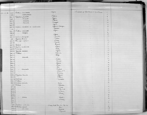 Odostomia tricincta subterclass Tectipleura Jeffreys, 1856 - Zoology Accessions Register: Mollusca: 1911 - 1924: page 18