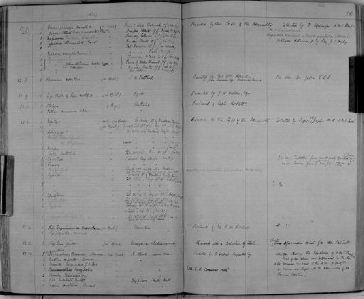 Zoology Accessions Register: Crustacea: 1876 - 1905: page 56