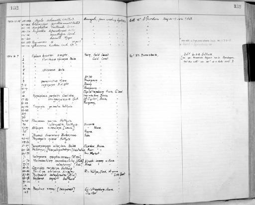 Caprella acanthifera parvorder Caprellidira Leach, 1814 - Zoology Accessions Register: Crustacea: 1935 - 1962: page 132