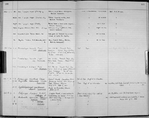 Typhlolepidomysis quinterensis Villalobos, 1951 - Zoology Accessions Register: Crustacea: 1962 - 1969: page 112