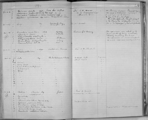 Polymorphina lactea - Zoology Accessions Register: Spongiida & Protozoa: 1887 - 1918: page 49