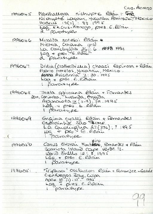 Conus evorai Monteiro, C. Fernandes & Rolan, 1995 - Zoology Accessions Register: Mollusca: 1994 - 1997: page 99