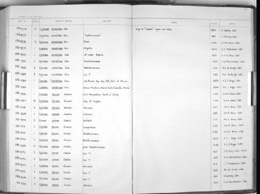 Cypraea achatidea J. E. Gray, 1837 - Zoology Accessions Register: Mollusca: 1962 - 1969: page 255