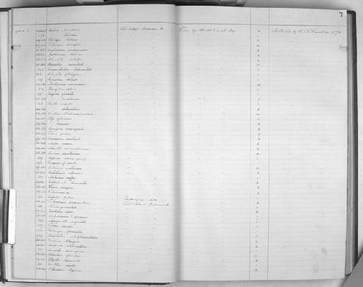Drupa tuberculata (Blainville, 1832) - Zoology Accessions Register: Mollusca: 1925 - 1937: page 7