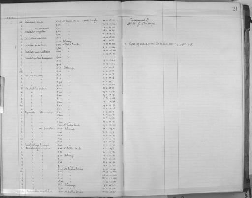 Euplectes hordeaceus sylvatica - Zoology Accessions Register: Aves (Skins): 1909 - 1911: page 21