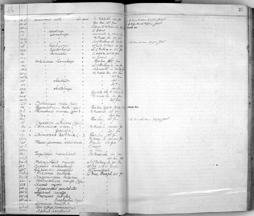 Prionotus tribulus Cuvier in Cuvier & Valenciennes, 1829 - Zoology Accessions Register: Fishes: 1912 - 1936: page 35