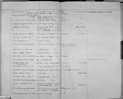 Echinocamptus prageri Scourfield - Zoology Accessions Register: Crustacea (Entomostraca): 1938 - 1963: page 58