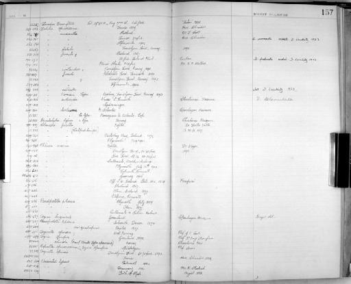 Aeginina echinata parvorder Caprellidira - Zoology Accessions Register: Crustacea - Norman Collection: 1911: page 157