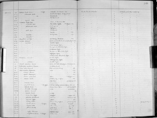 Helix loxana Rossmässler - Zoology Accessions Register: Mollusca: 1938 - 1955: page 248