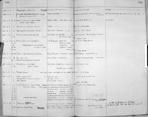 Thysanopoda subaequalis Boden, 1954 - Zoology Accessions Register: Crustacea: 1935 - 1962: page 108