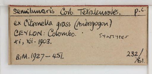 Crescentaleyrodes semilunaris Corbett, 1926 - 013500271_additional