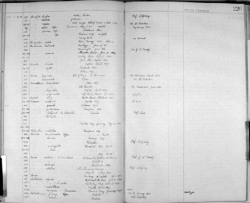 Apseudes grossimanus Norman & Stebbing, 1886 - Zoology Accessions Register: Crustacea - Norman Collection: 1911: page 220