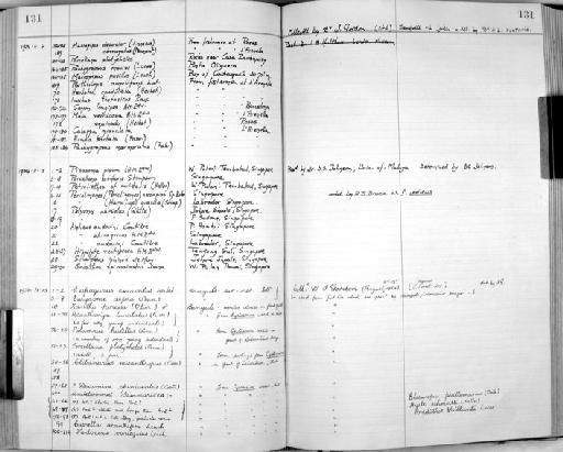 Caprella acanthifera parvorder Caprellidira Leach, 1814 - Zoology Accessions Register: Crustacea: 1935 - 1962: page 131