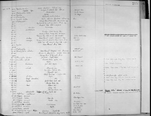 Chaetonymphon micronix G.O. Sars, 1888 - Zoology Accessions Register: Crustacea - Norman Collection: 1911: page 215