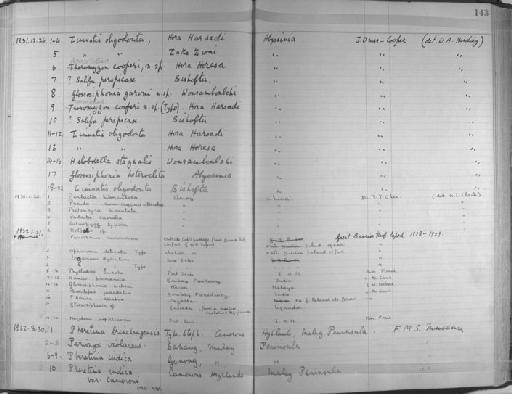 Pheretima brinchangensis Stephenson - Zoology Accessions Register: Annelida & Echinoderms: 1924 - 1936: page 143