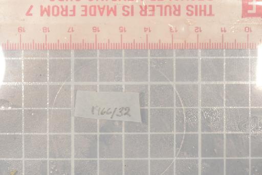 Hyperolius occidentalis Schiotz, 1967 - Image of specimen 1966.272